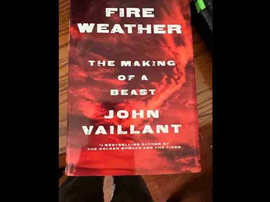 “A Review of ‘Fire Weather: The Making of a Beast'” by Patricia G. Erickson
