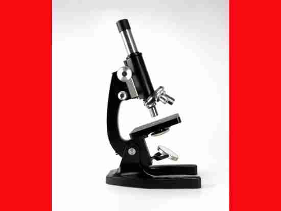Microscope
