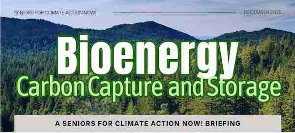 Briefing Bioenergy Carbon Capture and Storage