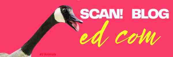The SCAN! Blog Graphic The SCAN! Blog Graphic