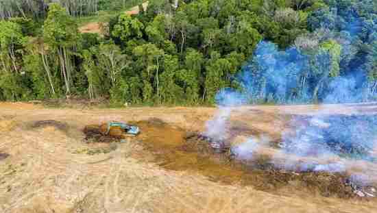 Blue Truck Burning Field Blue Truck Burning Field