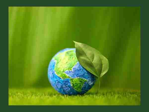 Globe with Green Leaf